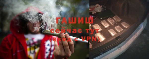 гидра Надым