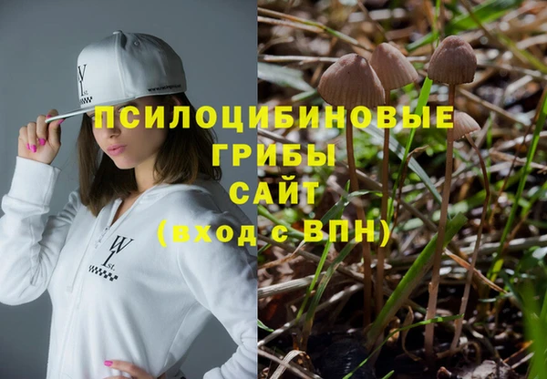 гидра Надым