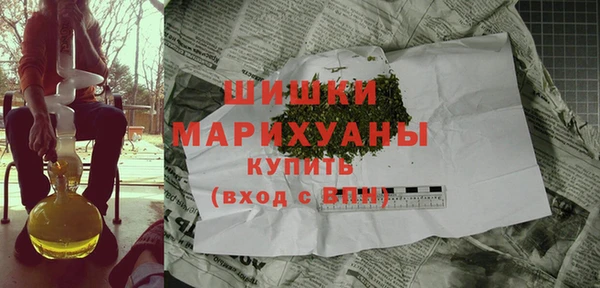 гидра Надым