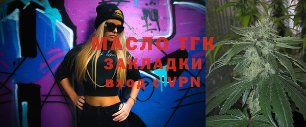 гидра Надым
