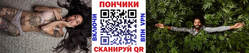 darknet клад  купить   Балашиха  Шишки марихуана планчик 